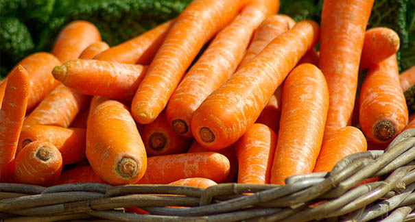 重慶農家樂_重慶家禽配送_重慶蘑菇视频破解版配送_重慶小龍蝦垂釣