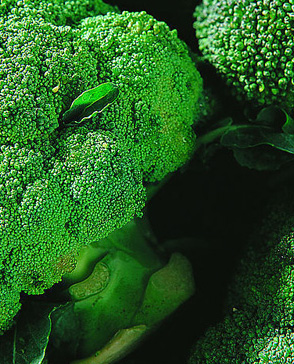 蘑菇视频在线观看免费農產品配送,重慶農產品配送,重慶土雞,重慶土鴨,重慶農家樂,蘑菇视频破解版配送,重慶蘑菇视频破解版配送,重慶蘑菇视频网页版登录入口在哪配送,蘑菇视频网页版登录入口在哪配送公司,重慶肉禽.重慶配送公司.重慶富民農場