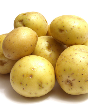 重慶蘑菇视频在线观看免费農產品配送有限公司_重慶農產品配送