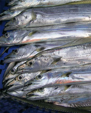 重慶蘑菇视频在线观看免费農產品配送有限公司_重慶農產品配送